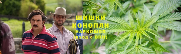 бошки Карпинск