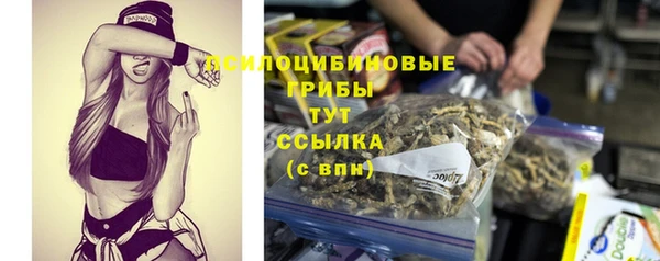 spice Карталы