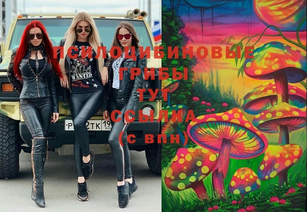 spice Карталы